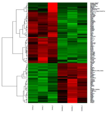 Genistein 처리한 MC3T3-E1에서 차별 발현되는 RNAs의 히트맵