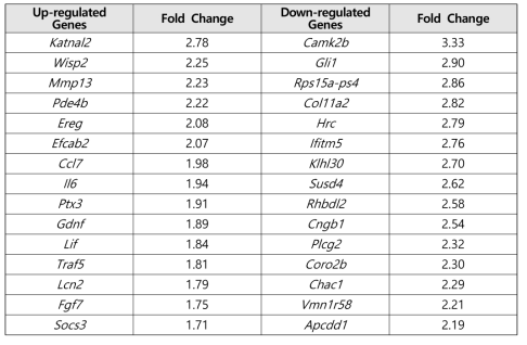 Genistein에 의해 차별 발현되는 top 15 유전자
