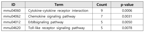 KEGG pathway 분석 결과