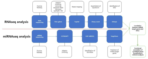 miRNA-mRNA 시퀀싱 데이터 통합분석 파이프라인