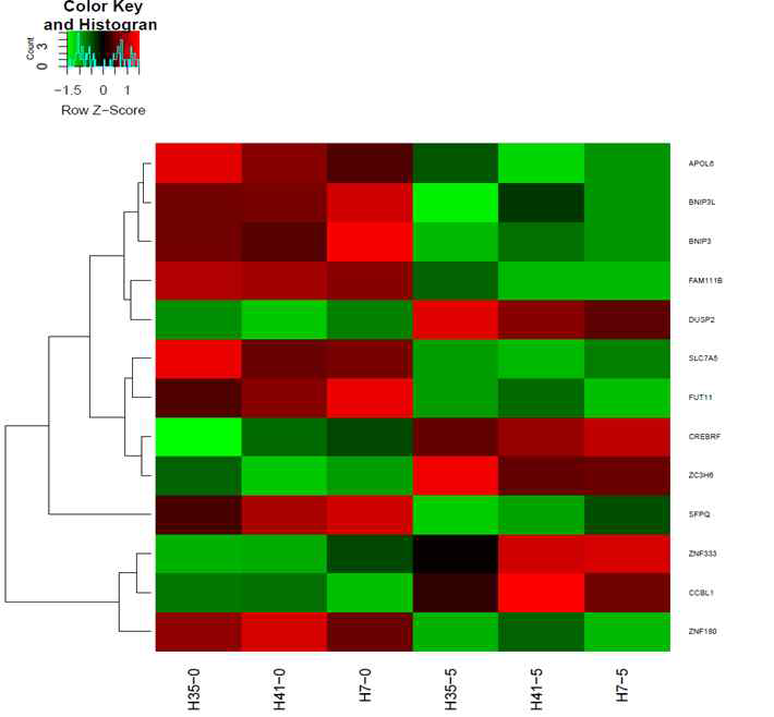 miRNA-mRNA 통합분석으로부터 선별된 metformin 처리에 의해 차별발현되는 유전자들의 heatmap