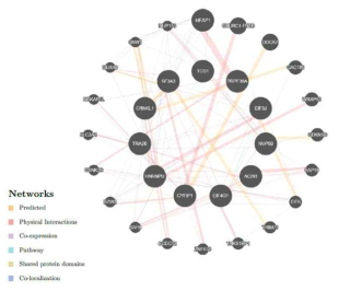 Network 분석 결과