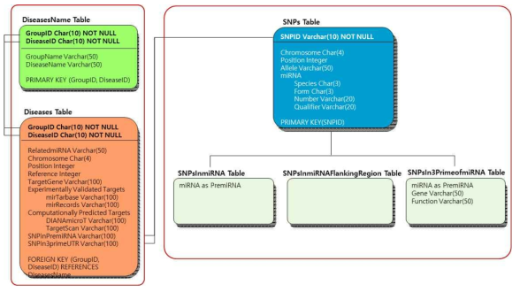 질환 miRNA DB의 스키마
