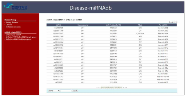 질환 miRNA DB의 miRNA 관련 SNP 정보 섹션 화면