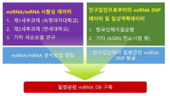 전체 연구 수행 체계도