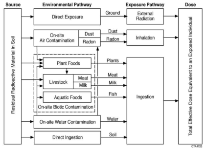 RESRAD 코드에서 고려하고 있는 피폭경로