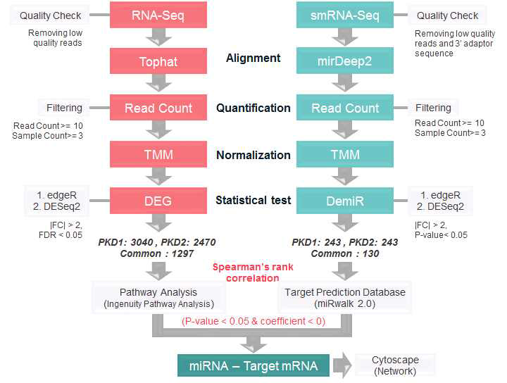 RNA-seq 과 smallRNA-seq의 결과를 평행하게 분석한 도식도