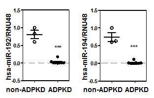 non-ADPKD와 ADPKD의 신장 조직에서 qRT-PCR을 통해 분석한 miR-192, miR-194의 레벨 변화