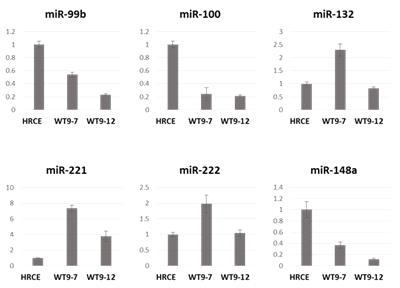 Real-time PCR을 통한 다낭신 환자 세포주에서 miR-99b-5p, miR-100-5P, miR-132-3p, miR-221-3p, miR-222-3p 및 miR-148a-3p의 상대적인 발현변화 검증 (HRCE : 정상 세포주. WT9-7, WT9-12 : 다낭신 환자 세포주)