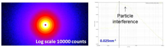 100 nm 실리콘 나노입자의 SAXS 측정 패턴과 1차원 변환 데이터