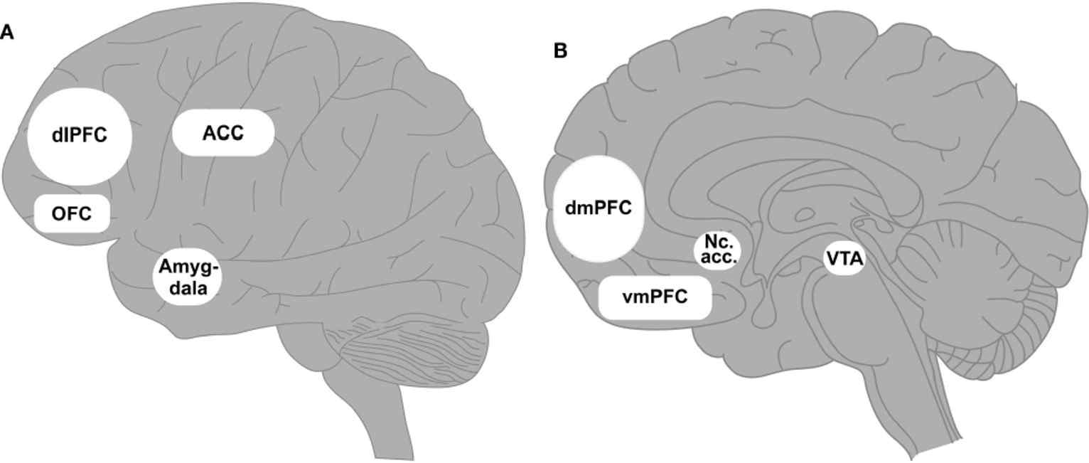 인터넷·게임 중독과 상관관계가 높은 뇌 영역 (A) lateral view, (B) medio-sagittal view