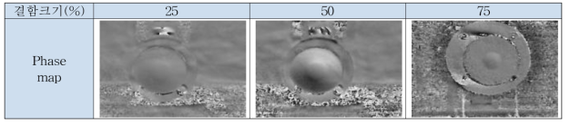 가운데 결함 배관 종단부 시험편 Phase map
