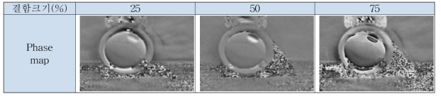 가장자리 결함 배관 종단부 시험편 Phase map