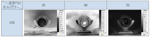 가운데 결함 배관 종단부 시험편 온도별 Lock-in image