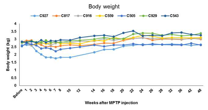 투여 후 시간에 따른 체중의 변화