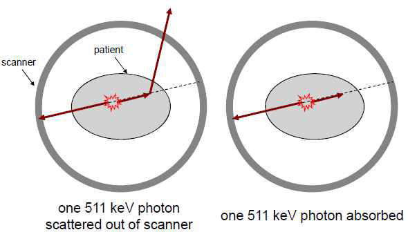 PET의 photon 감쇠