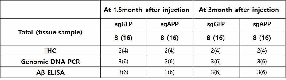 Bilateral stereotaxic injection groups