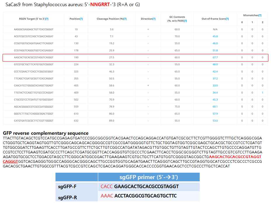 GFP gRNA design for S.aureus Cas9