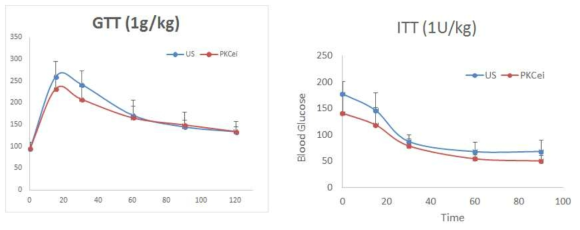PKC epsilon knockdown에 따른 metabolic phenotype 변이 측정. HFD-fed 생쥐에 tail vein injection을 통하여 PKC epsilon siRNA AAV 및 control siRNA AAV (US)를 주입 후, glucose tolerance test (왼쪽) 및 insulin tolerance test (오른쪽)을 수행함
