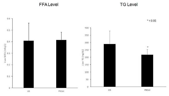 PKC epsilon knockdown에 따른 liver lipid 변화 측정. HFD-fed 생쥐에 tail vein injection을 통하여 PKC epsilon siRNA AAV 및 control siRNA AAV (US)를 주입 후, 간내의 free fatty acid (FFA) 및 triacylglycerol (TG) level을 측정함