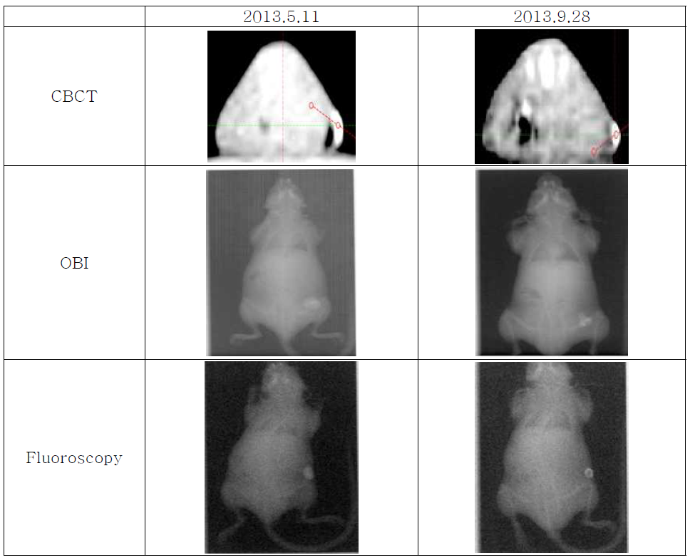 CBCT, OBI, Fluoroscopy에서의 표지자의 시간에 따른 영상평가