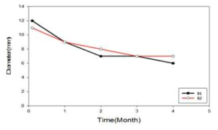 시간에 따른 B1, B2 표지자의 직경 변화