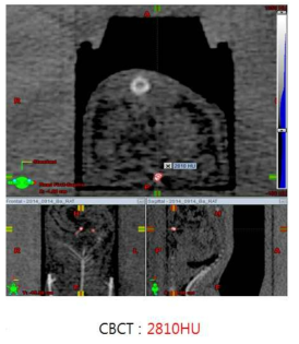 BaSO4 주입한 RAT CBCT 영상