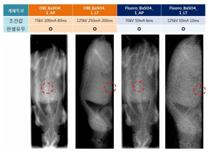 BaSO4 주입한 RAT OBI, Fluoroscopy 영상