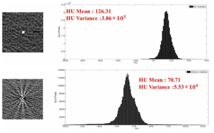 금표지자와 바이오 표지자의 영상왜곡 비교