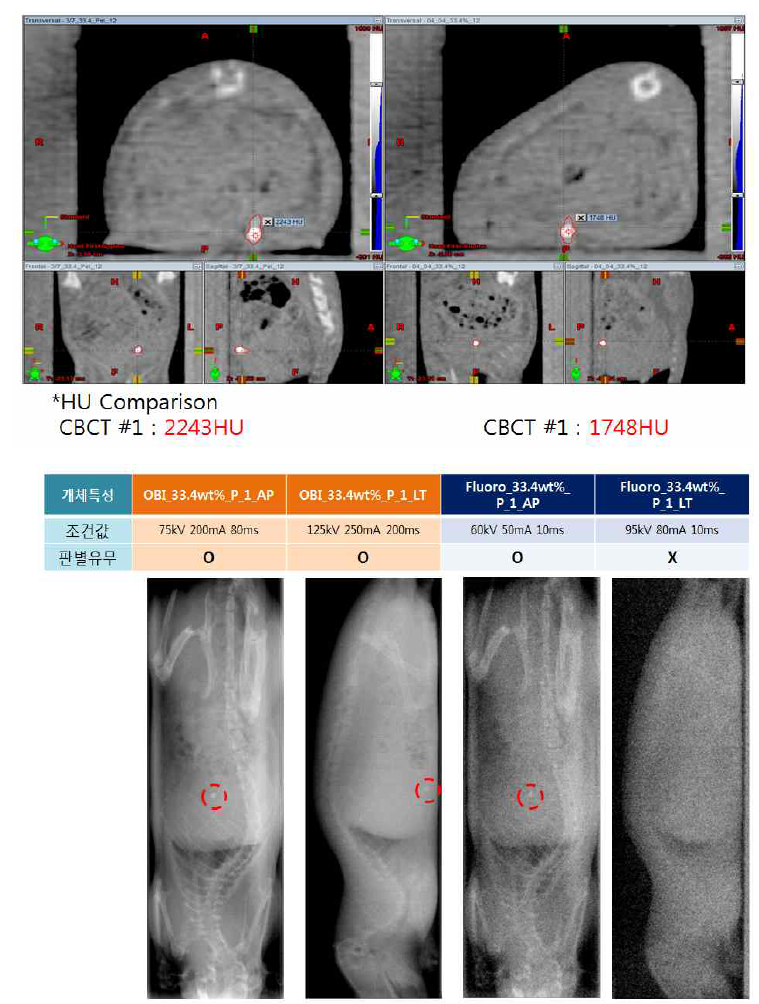 Rat 체내에 주입된 Pellet 형태의 표지자 임상 영상(CBCT, OBI, Fluoroscopy 촬영사진