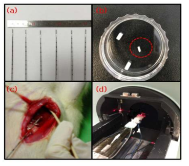 (a) 바이오 Pellet 형태 표지자 바늘에 장착한 사진, (b) 직경 1 mm 와 2mm, 크기 3 mm 형태의 Pellet 형태 표지자, (c) 표지자를 Rat 간 내부에 주입하는 사진, (d) micro-CT 영상 촬영 과정 실험 사진