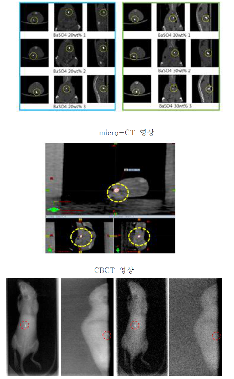 바이오 Pellet 형태 표지자 주입 물질 주입후 5분 이내 micro-CT 영상 및 CBCT, OBI, Fluoroscopy 영상