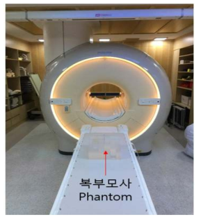 바이오 Pellet 형태 표지자 복부모사 팬텀 내부에 위치 후 MRI 영상촬영 사진