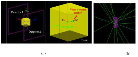 양성자 조사시 표지자의 방사화 측정을 위한 전산 모사 (a) 조직 등가 물질내에 표지자를 위치하고 양 옆에 검출기(detector)를 놓고 빔을 조사하는 전산모사 구조 (b) 양성자와 표지자 물질이 반응하여 gamma 선이 발생함을 확인한 gamma 선 (녹색의 line) tracking 결과