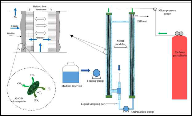 Membrane Biofilm Reactor 실험 모식도