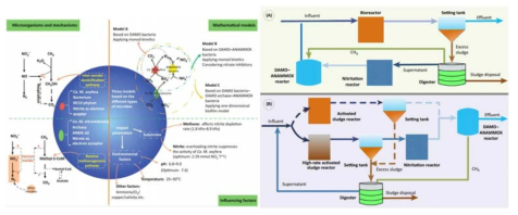 DAMO-ANAMMOX 공법(Yail et al., 2017)