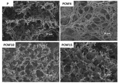 FE-SEM images of composite hydrogels