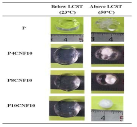 Hydrogel images produced from different cellulose content at 10 mL NaClO and polymerized at 11℃