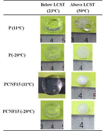 Hydrogel images produced from different polymerization reaction temperatures at 15 mL NaClO