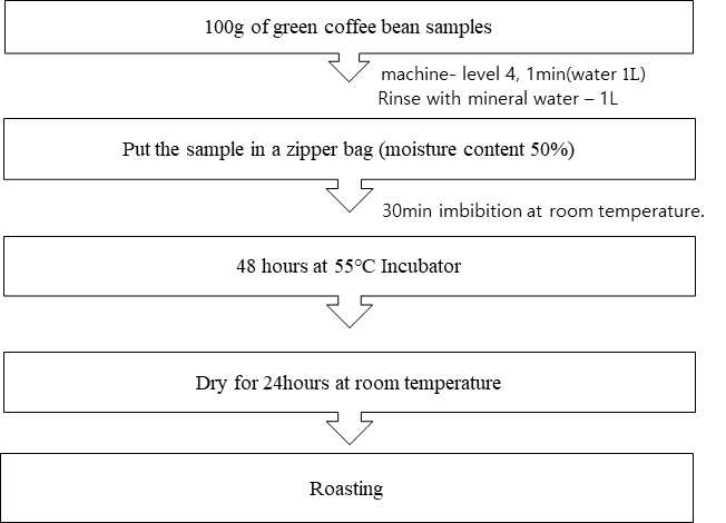 커피 생두에 전처리, 발아 및 로스팅 과정의 도표