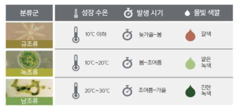 조류 종류별 발생시기 및 물빛 색깔