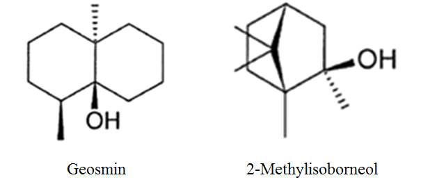 Geosmin과 2-MIB의 화학적 구조