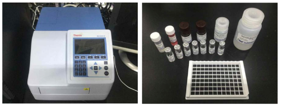 Microplate photometer (좌) ELISA kit (우)