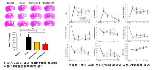 단백체 주입에 의한 뇌병변 크기의 감소. iPS 유래 PSA-NCAM+NPC-Secretome과 대조군으로 Media를 주입하였을 때 뇌조직 내 damage를 줄여주는 효과를 보이고 있고, 대조군보다 iPS 유래 PSA-NCAM+NPC-Secretome 을 이식하였을 대조군에 비해 감소함. iPS 유래 PSA-NCAM+NPC-Secretome과 대조군으로 배양액 혹은 PBS를 주입하였을 때 행동실험에서 이식초반부터 더 좋은 개선효과가 일어남. 행동실험결과 배양액을 이식한 그룹보다 유의성 있고, 근력 테스트인 Prehensile Traction test에서도 7일째에 대조군에서보다 매우 월등한 결과가 보여짐. mNSS data에서도 마찬가지로 배양액을 주입한 그룹보다 훨씬 높은 behavior recovery가 일어난다는 것을 보여주고 있음. 또한 이러한 치료 효과는 반복투여에 의해 더욱 크게 나타남을 확인