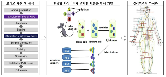 본 연구과제 수행의 3단계 핵심과정