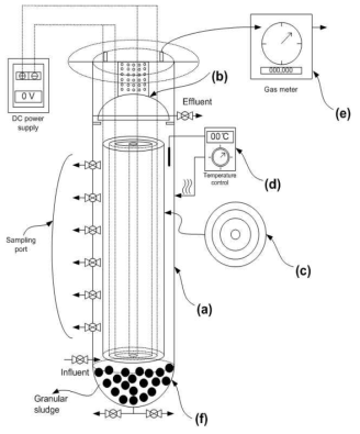 Schematic diagram of pilot UABE reactor: (a) reactor body, (b) GSS device, (c) electrode, (d) digital thermostat, (e) wet gas meter, (f) reactor bottom with an inverse arch type