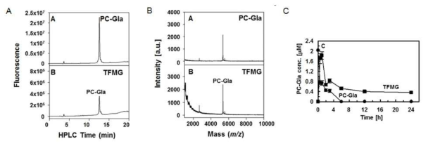 MMP-2에 의한 TFMG 나노케이지 내 PC-Gla의 방출 여부 확인을 위한 FPLC 분석결과 (A), MALDI-ToF 분석결과(B) 및 시간에 따른 PC-Gla의 방출 분석결과 (C)