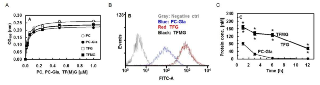 TFG, TFMG 나노케이지의 EPCR 단백질에 대한 결합력 평가 결과 (A) 및 HUVEC 세포에 대한 in vitro 결합력 평가 결과 (B), (C)