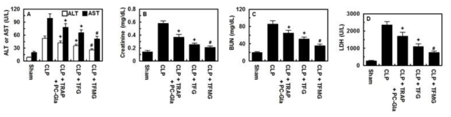 TGF 및 TFMG 나노케이지를 투여한 CLP-유도 패혈증 동물의 간 독성지표 평가 결과