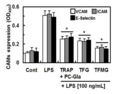 TGF 및 TFMG 나노케이지를 투여한 CLP-유도 패혈증 동물의 혈관세포 부착인자(VCAM-1) 의 발현량